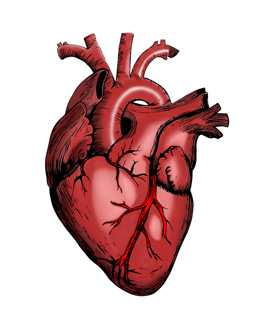 Is Propranolol Safe for the Heart?